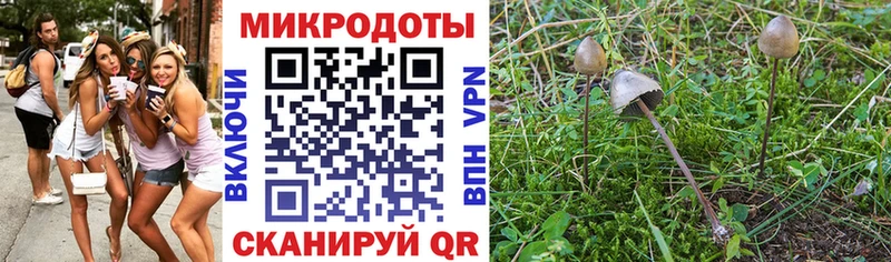 Галлюциногенные грибы ЛСД  Бобров 